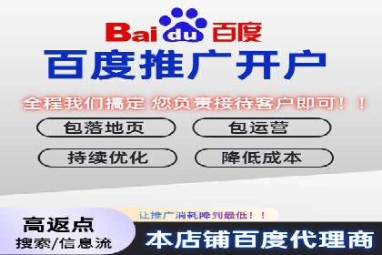 某品牌通过百度广告实现快速增长的案例